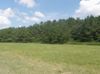 2922 Crestwood Blvd photo